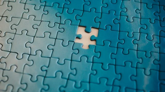 We Provide all the Pieces to Finish your NetSuite AI Puzzle