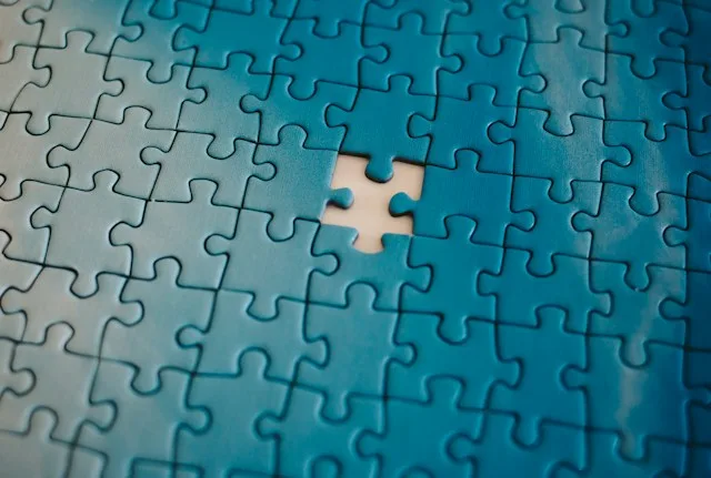 We Provide all the Pieces to Finish your NetSuite AI Puzzle